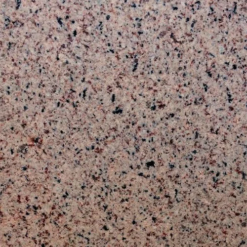 Nasoli