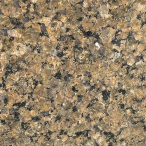 Tropical Brown